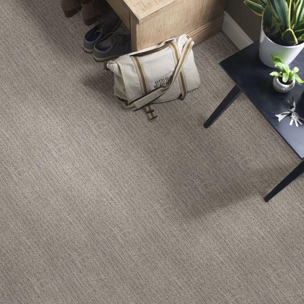 Anderson Tuftex Wanderer Carpet in Heather Gray, , large
