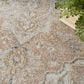 Nourison Astra Machine Washable 5"3" x 7" Beige Area Rug, , large