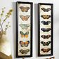 Maple and Jade 36" x 11" Butterfly Wall Art in Multicolor (Set of 2), , large