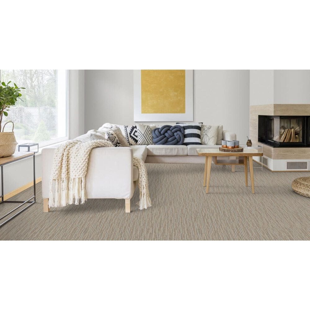 Dixie Home Wilderness Carpet in Stone, , large