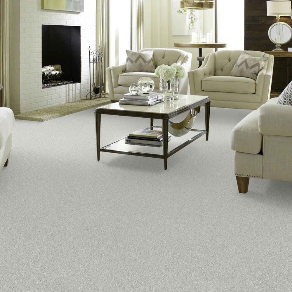Shaw Foundations Take The Floor Tonal I Carpet in Orion, , large