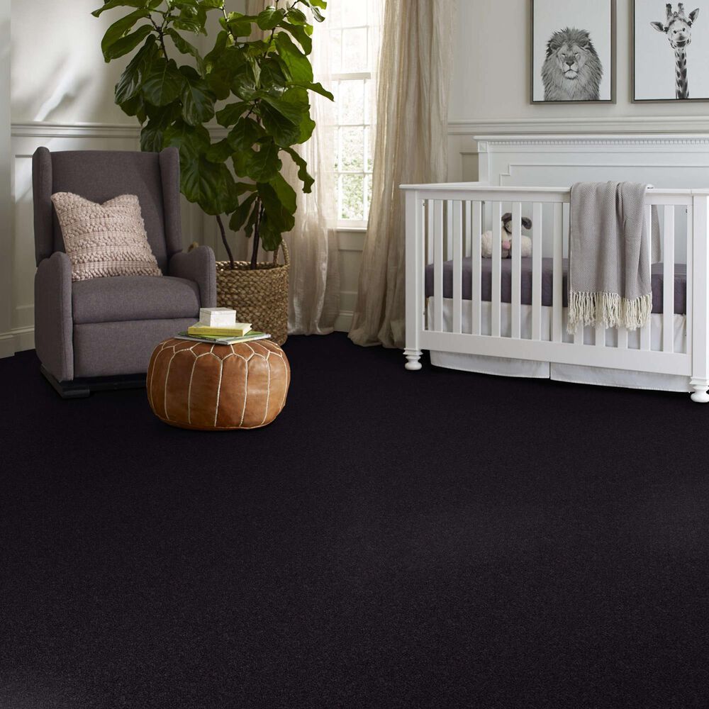 Shaw Your Comfort I Carpet in Movie Night, , large