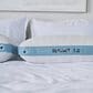 Bedgear Summit 1.0 Performance Pillow, , large