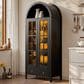 HOMLUX Arched Storage Cabinet with LED Induction Lights in Black, , large