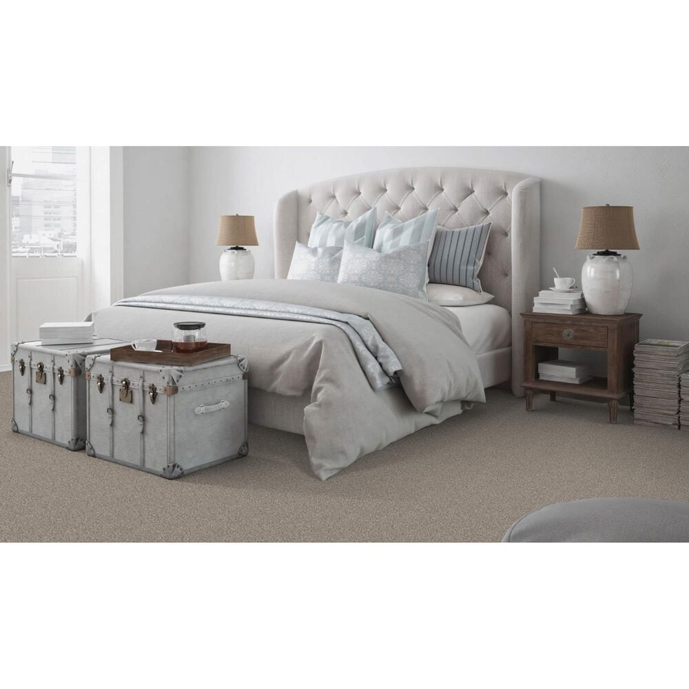 Dixie Home Bella Carpet in Greyhound, , large