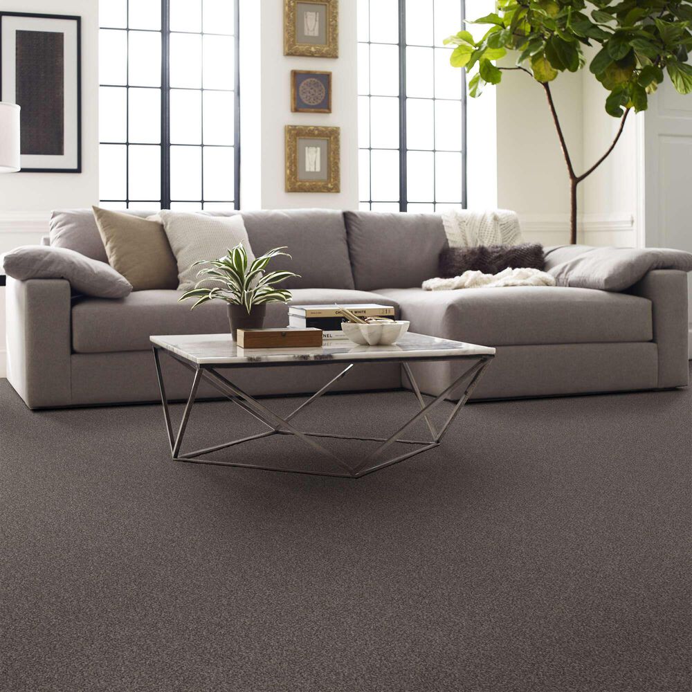 Shaw After It II 5E258 Carpet in Reflection, , large