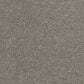 Dream Weaver Hollywood Carpet in Dark Platinum, , large
