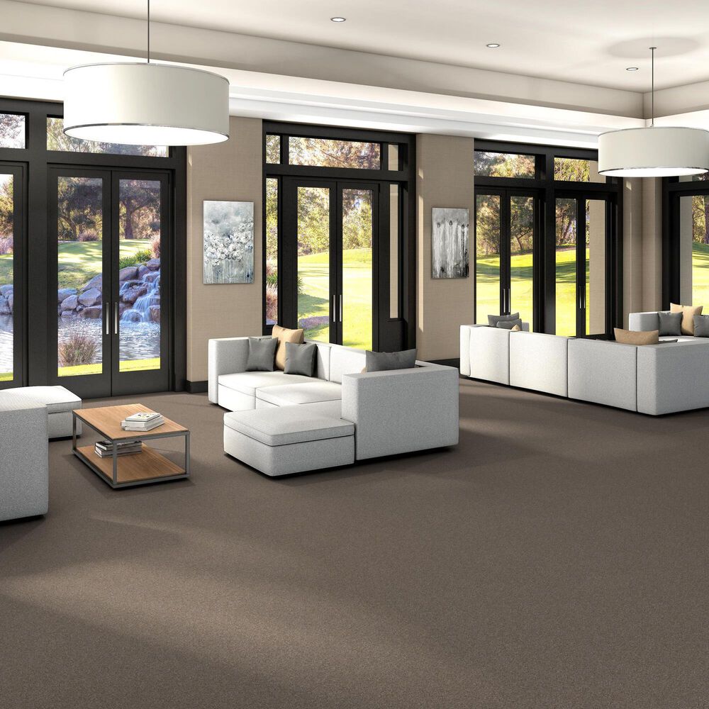 Shaw Yes You Can III Carpet in Subtle Clay, , large