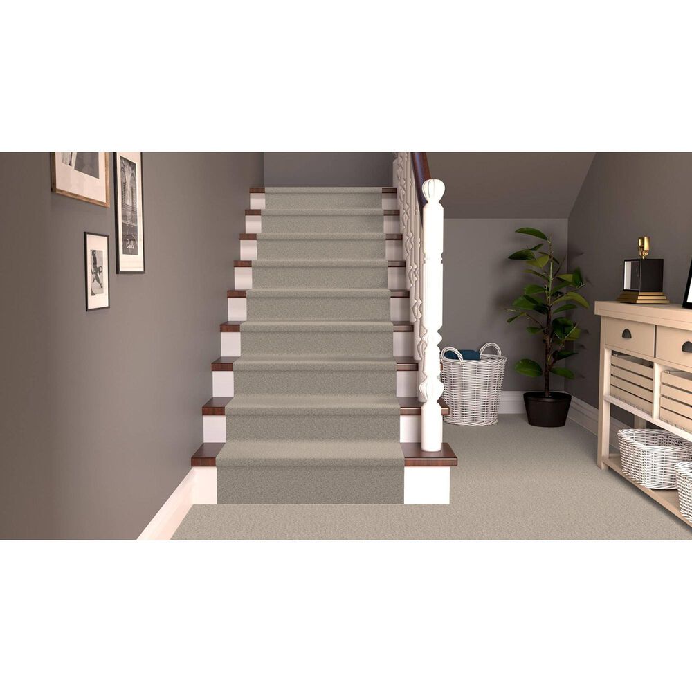 Dixie Home Simplicity Carpet in Casual, , large