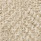 Anderson Tuftex Ario Carpet in Parchment, , large