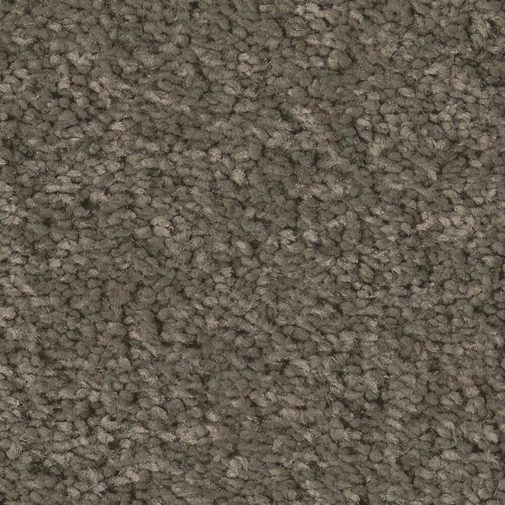 Shaw Way To Go II Carpet in Urban Studio, , large