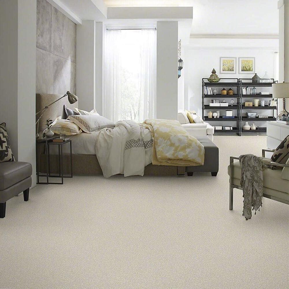 Anderson Tuftex Barracan Classic II Carpet in Heirloom, , large