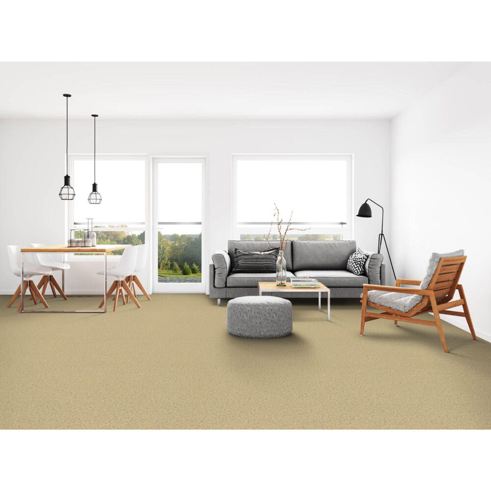 Dixie Home Simplicity Carpet in Sand Motif, , large