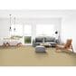Dixie Home Simplicity Carpet in Sand Motif, , large