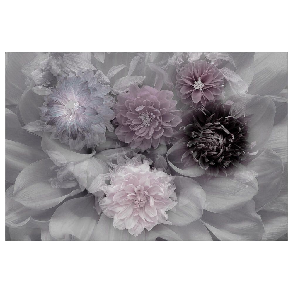 Timberlake Inge Schuster 'Dahlia Dream' 30" x 47" Canvas Art, , large