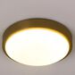 Golden Lighting 10" Gabi Flush Mount in Brushed Champagne Bronze, , large