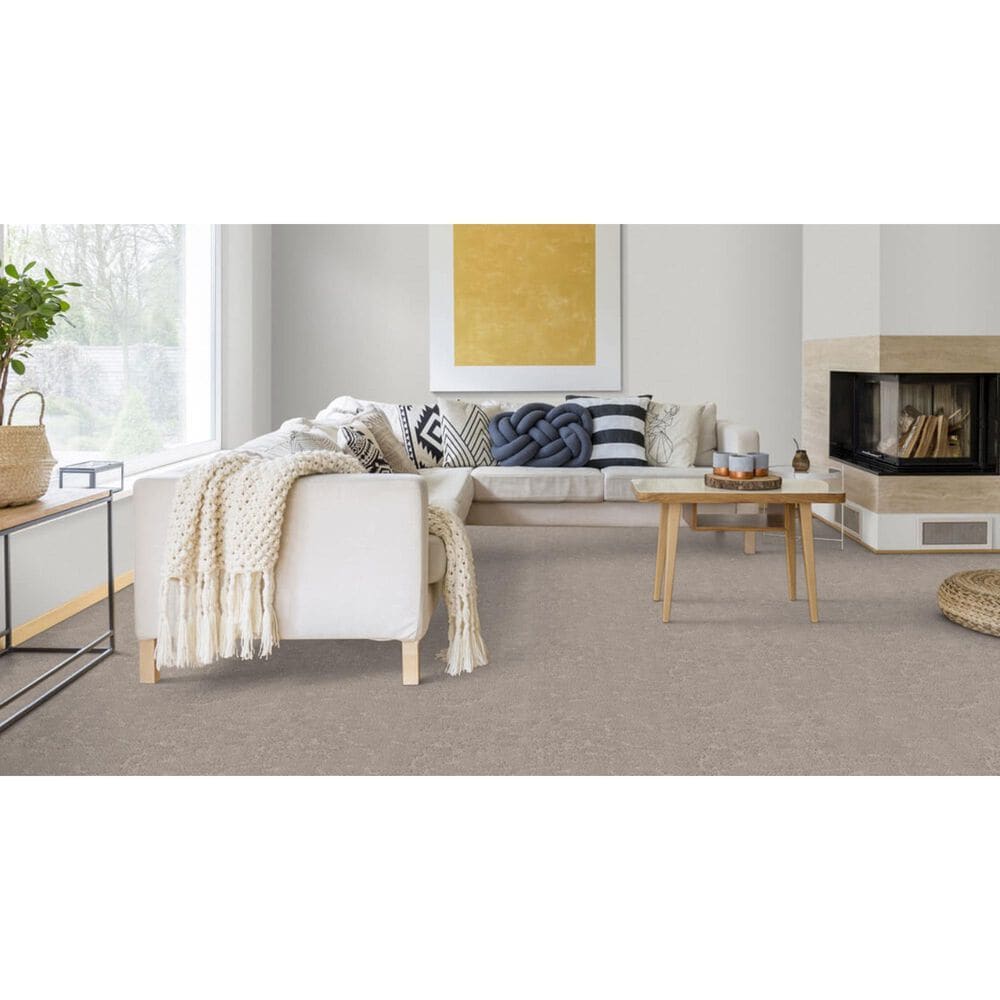 Dixie Home High Hopes Carpet in Thicket, , large
