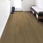 Shaw Pet Perfect Warm Honey 9" x 60" Luxury Vinyl Plank, , large