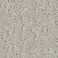 Shaw Studio Plaza Carpet in Forest Fog, , large