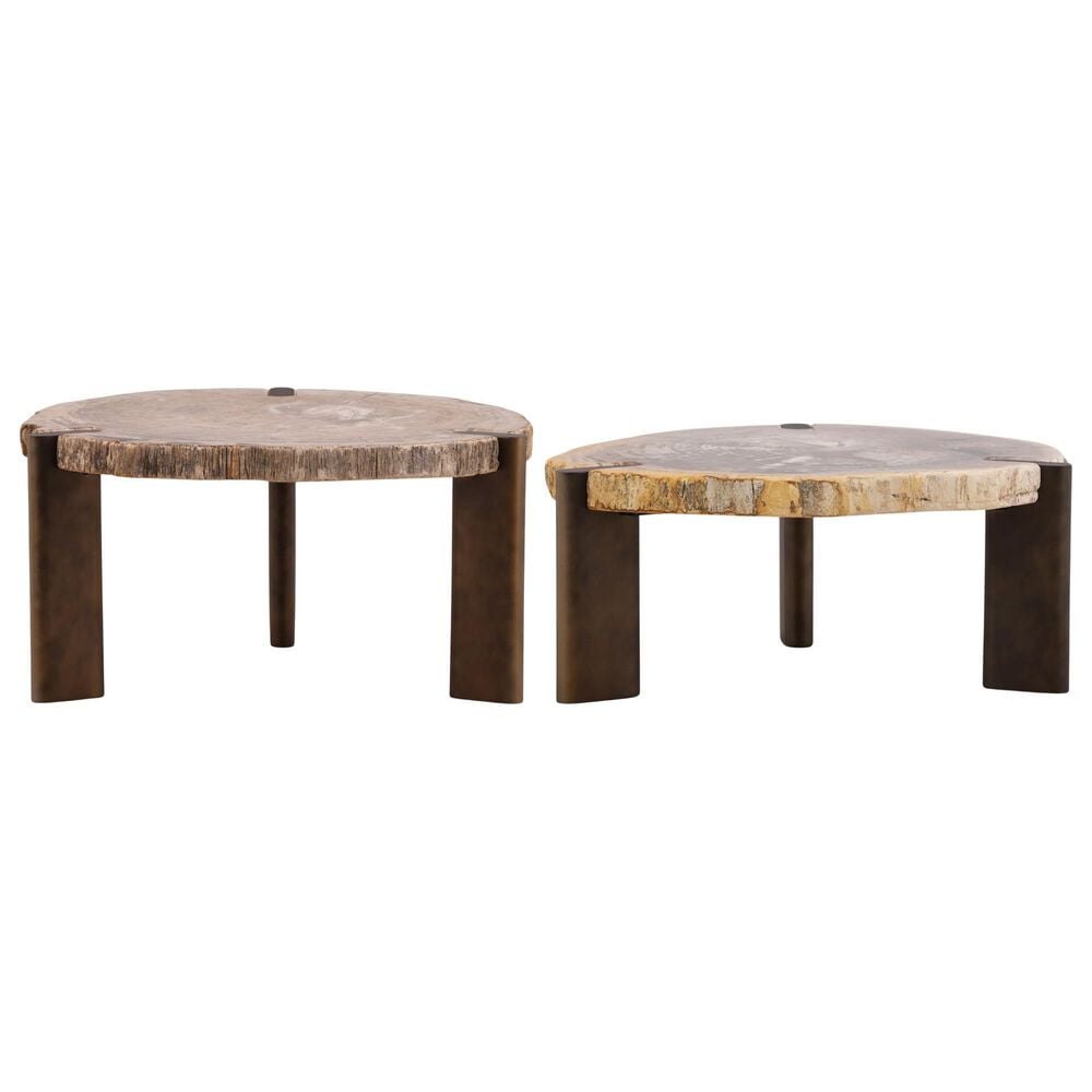 Blue Sun Designs Samplson 2-Piece Coffee Table Set in Light Natural and Bronze, , large