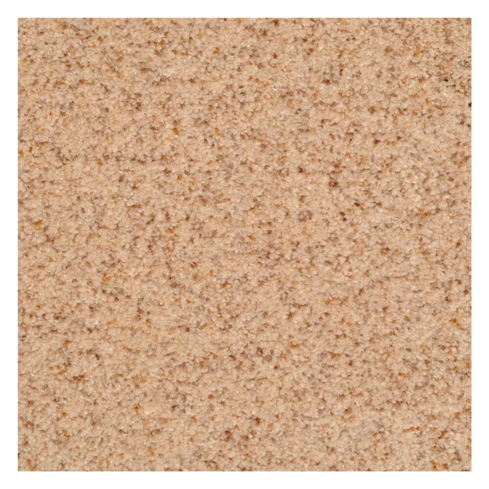 Dixie Home Bashan Carpet in Oatmeal, , large
