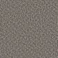 Dream Weaver Toast of The Town Carpet in Flagstone, , large