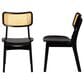 Baxton Studio Tafari Side Chair in Dark Brown and Light Brown (Set of 2), , large