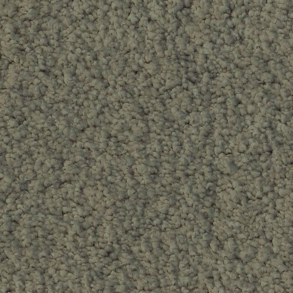 Anderson Tuftex Luxe Feel I Carpet in Bonsai, , large