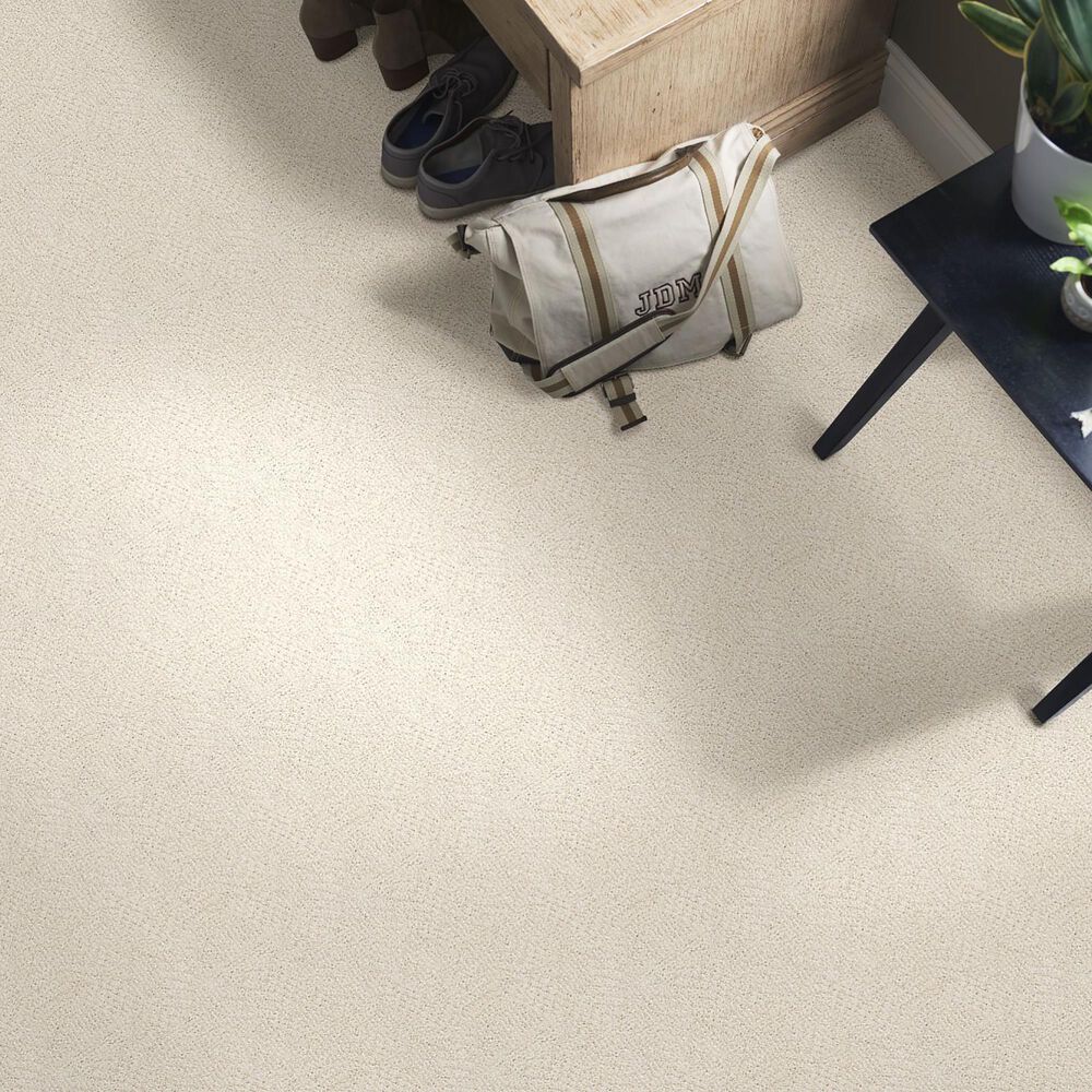 Anderson Tuftex Luna Carpet in Haven, , large