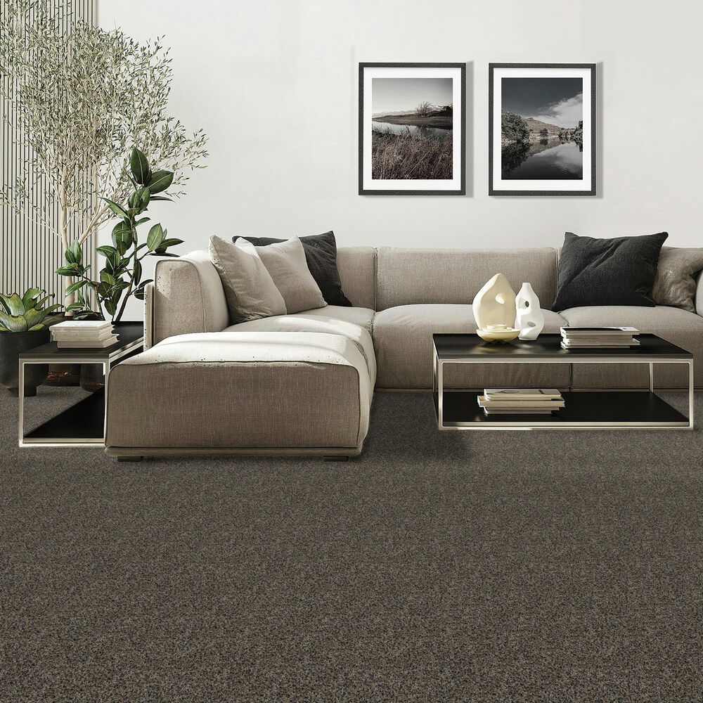 Mohawk Diffurent Choice III Carpet in Dark Hour, , large