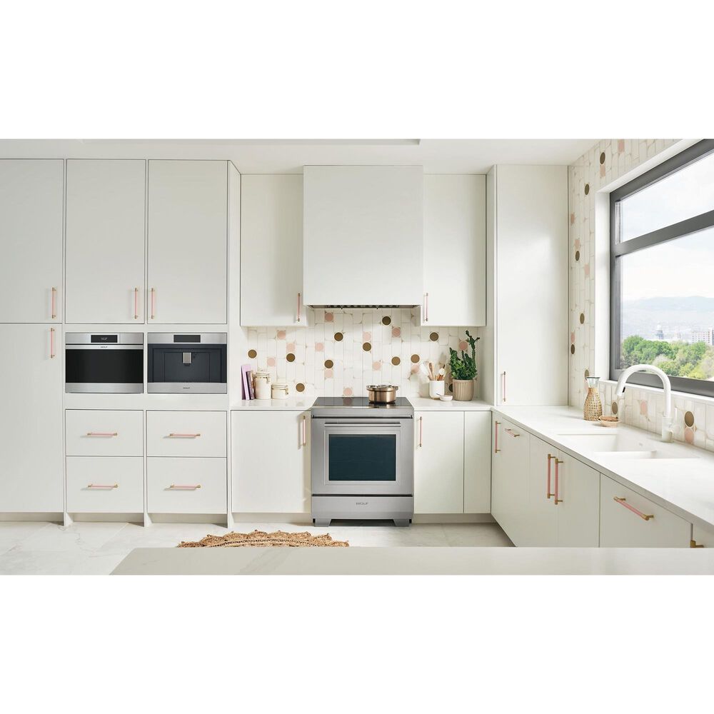 Wolf Appliances M Series 24" Single Electric Plumbed Wall Oven with Convection Steam in Stainless Steel, , large