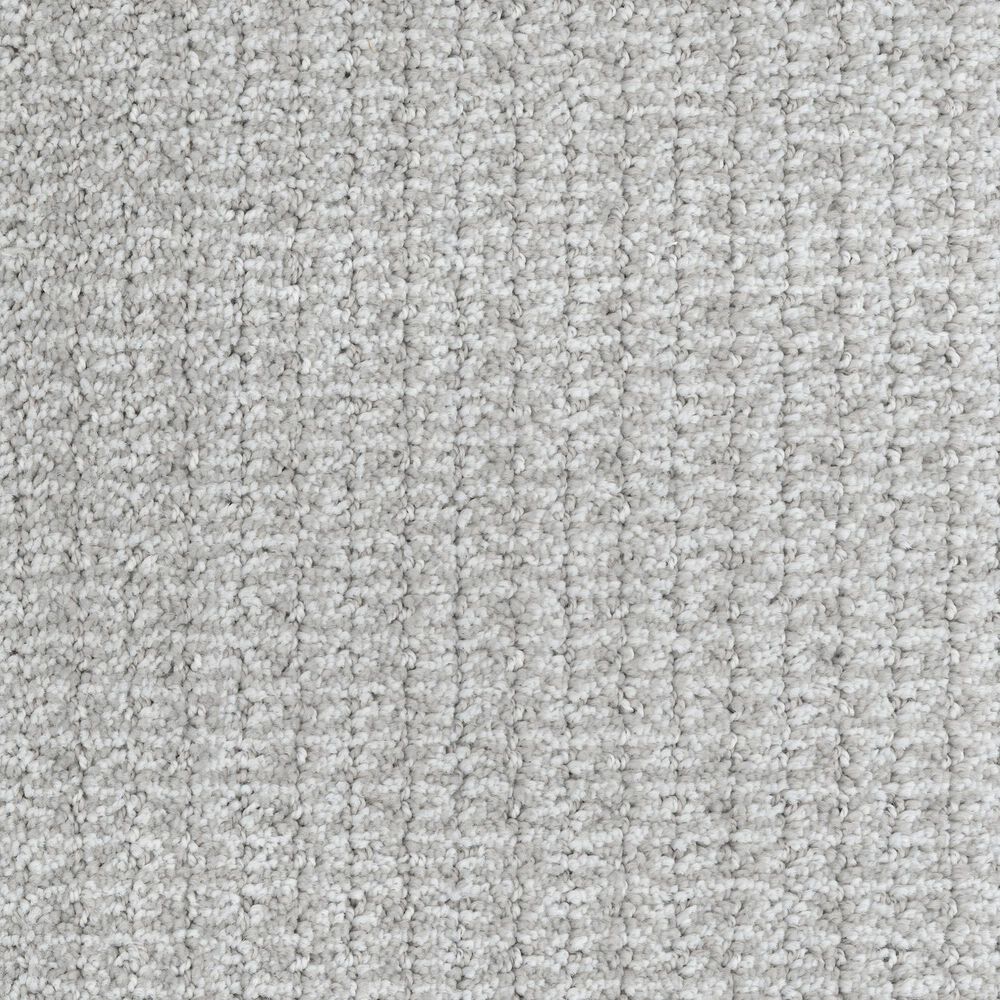 Dixie Home Sensible Carpet in Dewdrop, , large