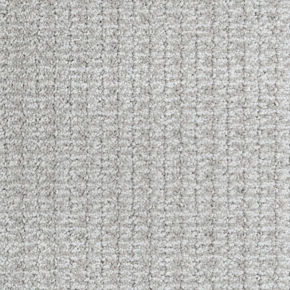 Dixie Home Sensible Carpet in Dewdrop, , large