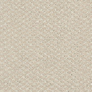 Dixie Home Soft Touch Carpet in Centered, , large