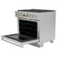 Monogram 36" Dual-Fuel Professional Range with 6 Burners in Stainless Steel, , large