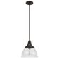 Hunter Cypress Grove 10" 1-Light Pendant in Onyx Bengal, , large