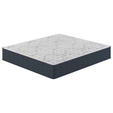 Hearth and Haven Restonic ComfortCare DreamLux Firm Twin XL Mattress, , large