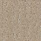 Shaw Endless Memories Carpet in Walk On The Beach, , large