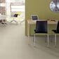 Anderson Tuftex San Lucas Carpet in Fleece, , large