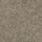 Godfrey-Hirst Inspiring Selection Carpet in Mobe Pearl, , large