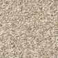 Shaw Tonal Comfort Ii Carpet in My Haven, , large
