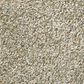 Shaw Montage I Carpet in Lunar Surface, , large