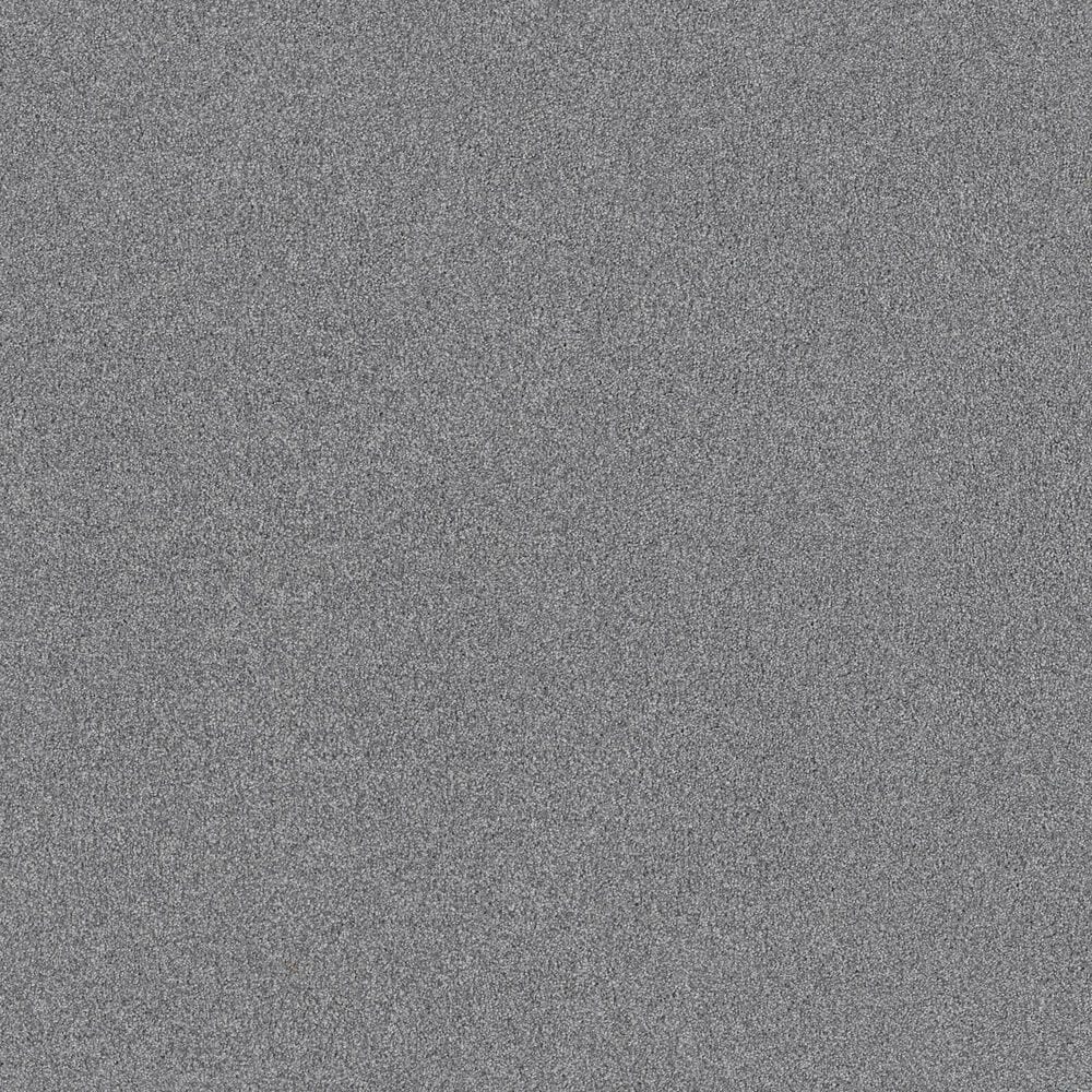Shaw Tonal Comfort Ii Carpet in Dolphin Sighting, , large