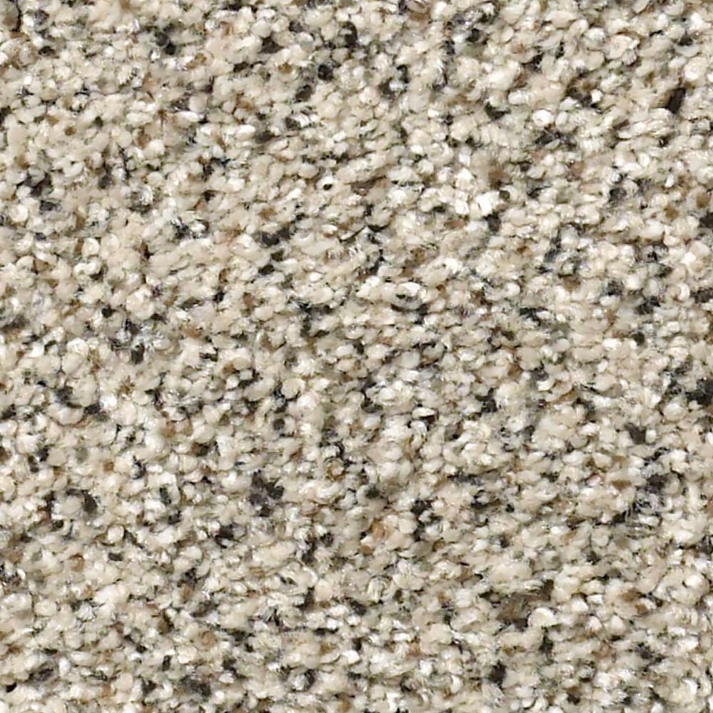 Shaw Find Your Comfort TA I Carpet in Online Date, , large