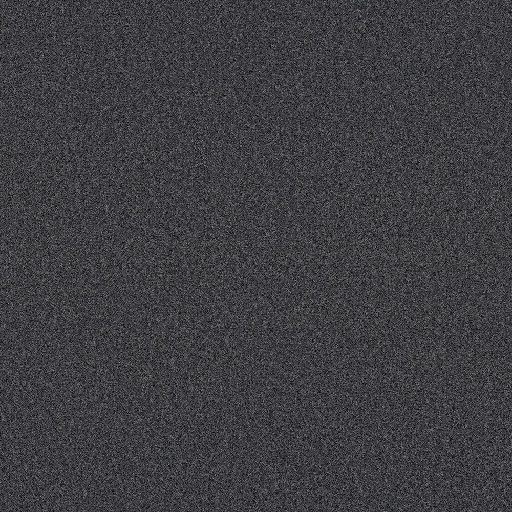 Shaw Las Cruces Carpet in Charter, , large