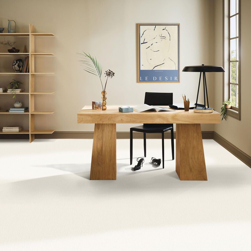Anderson Tuftex Finery Carpet in Pure White, , large