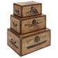 Maple and Jade 3-Piece Transportation Vintage Decorative Trunk in Matte Brown and Gold, , large