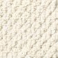 Anderson Tuftex Crafted Carpet in Sparkling, , large