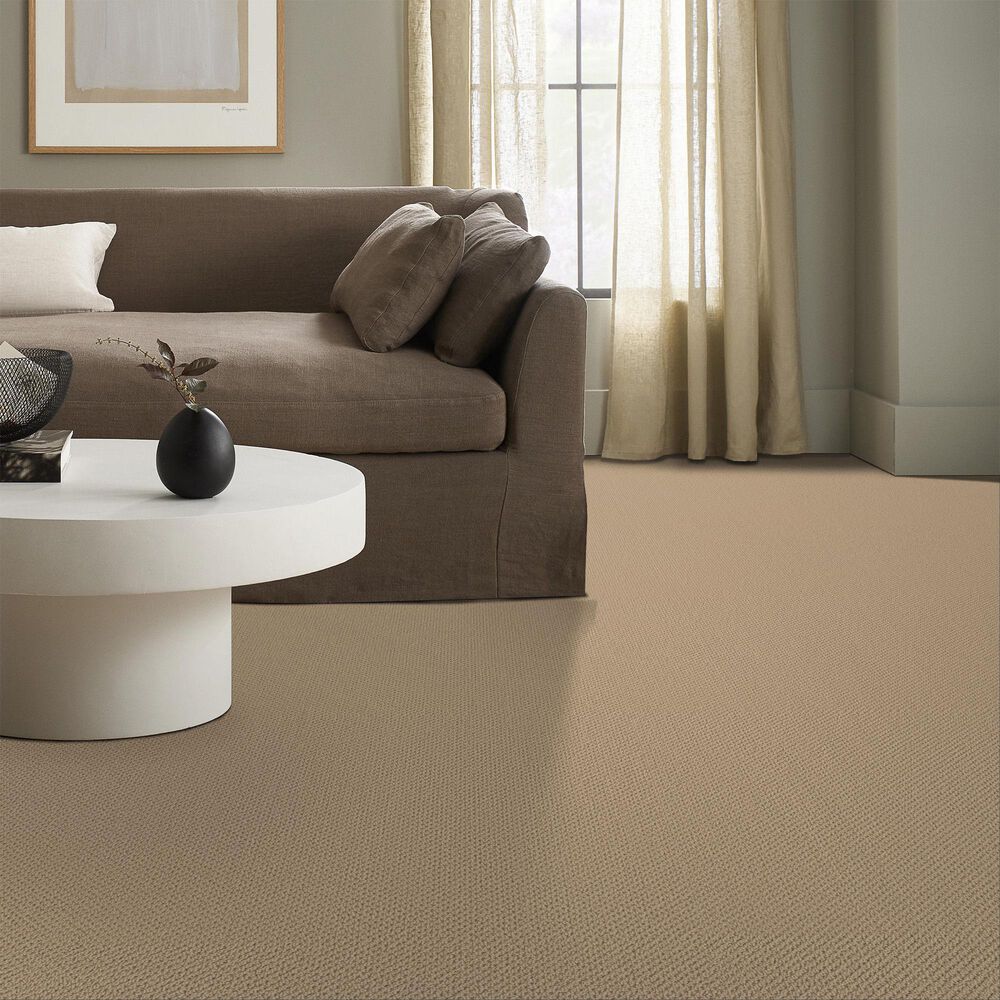 Anderson Tuftex Gracious Carpet in Golden Rule, , large