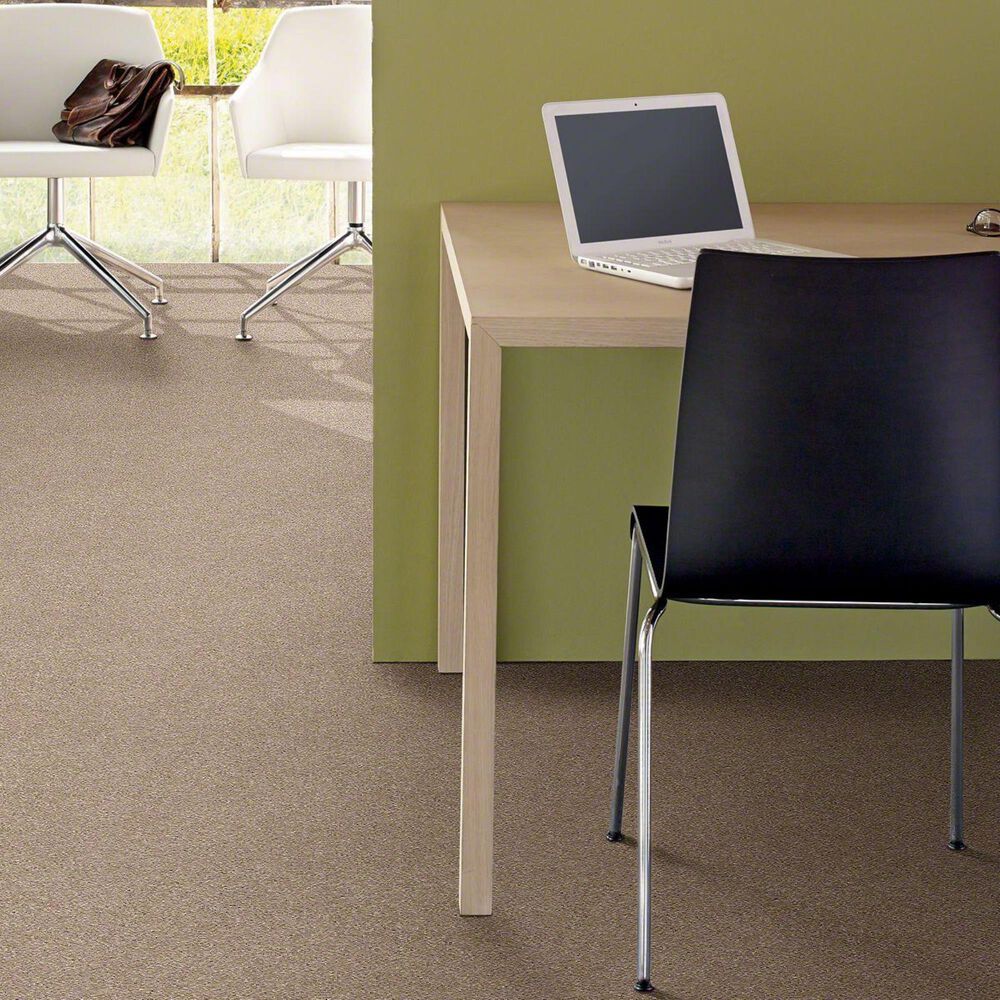 Philadelphia Basic Rules Carpet in Toast, , large